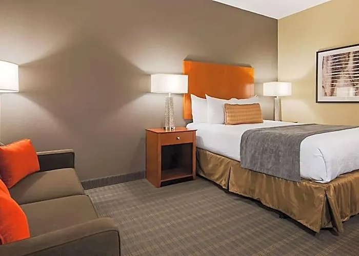 Hotel Western Delta 3*