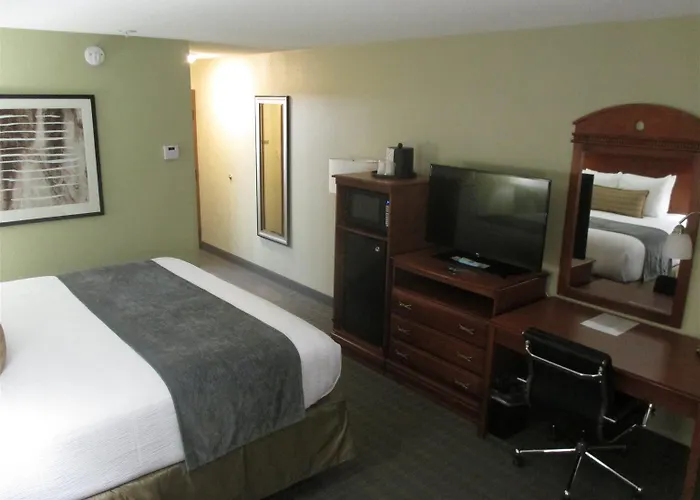 Hotel Western Delta 3*