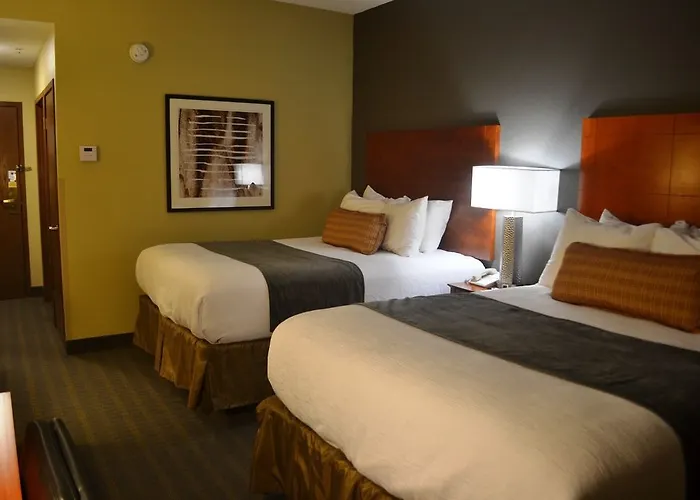 Hotel Western Delta 3*